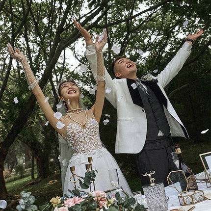 Lace V-neck Summer Couple Photo Shoot Travel Wedding Dress - Royalessencelux