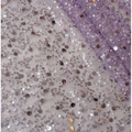 Lavender lace asymmetric dress featuring pearl embroidery lace with dazzling gold sequined accents in silver rose gold and black