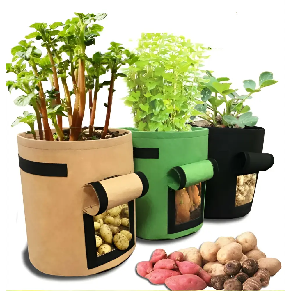 Set of 3 fabric planting bag potato grow bags in beige green and black with windows showing harvested potatoes inside