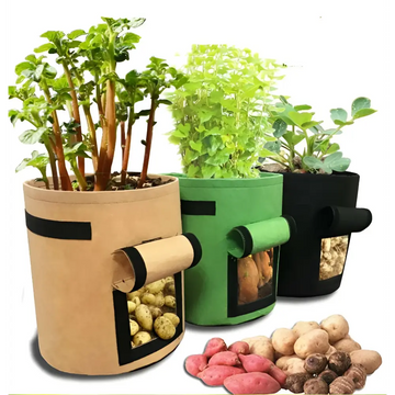Set of 3 fabric planting bag potato grow bags in beige green and black with windows showing harvested potatoes inside