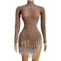 Sheer beaded tassel dress in shimmering brown mesh with silver rhinestones and fringe hem for dress birthday party