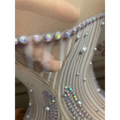 A sleeveless long gown with a sheer beige mesh bodice and iridescent rhinestones for silver feathered hips nightclub