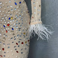 Beige rhinestone mesh stretch slim dress with colorful rhinestones and silver feathered rhinestone sleeve detail
