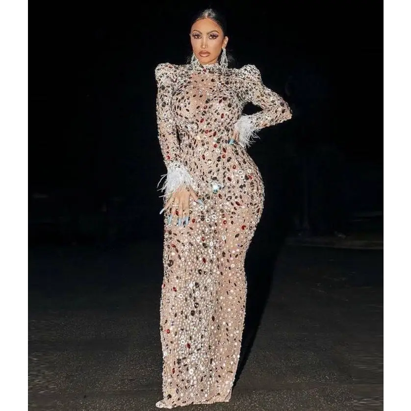 Silver feathered rhinestone mesh stretch slim dress with long sleeves and intricate sequin and feather embellishments