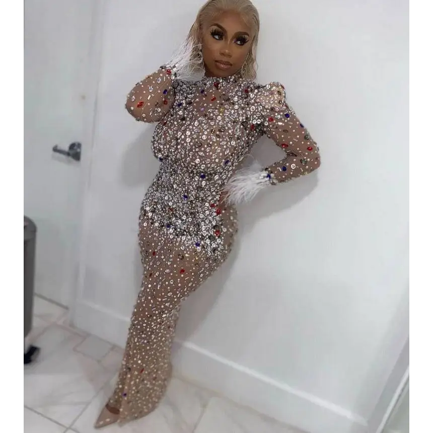 A shimmering silver feathered rhinestone mesh stretch slim dress with long sleeves and multicolored sequins