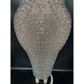 Silver metallic niche princess gathering banquet dress featuring a shimmering form-fitting gown with silver rhinestones and sheer mesh