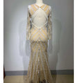 Back view of a shimmering champagne-colored backless tight fishtail gown with intricate white lace and cascading fringe detailing
