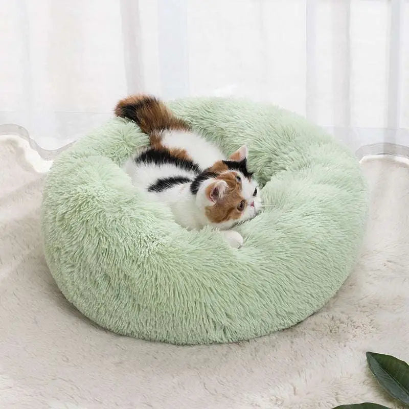 Soft mint-green plush winter warm pet bed with soft fluffy texture circular design for cozy comfort