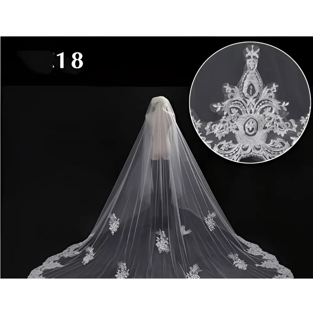 A delicate white bridal wedding dress veil with intricate floral embroidery and a decorative central motif