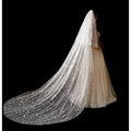A flowing translucent white bridal wedding dress veil with sparkling glittering embellishments and intricate floral details