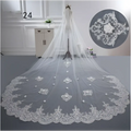 A delicate white lace wedding dress veil with intricate floral embroidery and beaded accents for bridal wedding dress