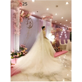 Ivory bridal wedding dress with a flowing sheer train and intricate floral lace wedding dress veil detailing