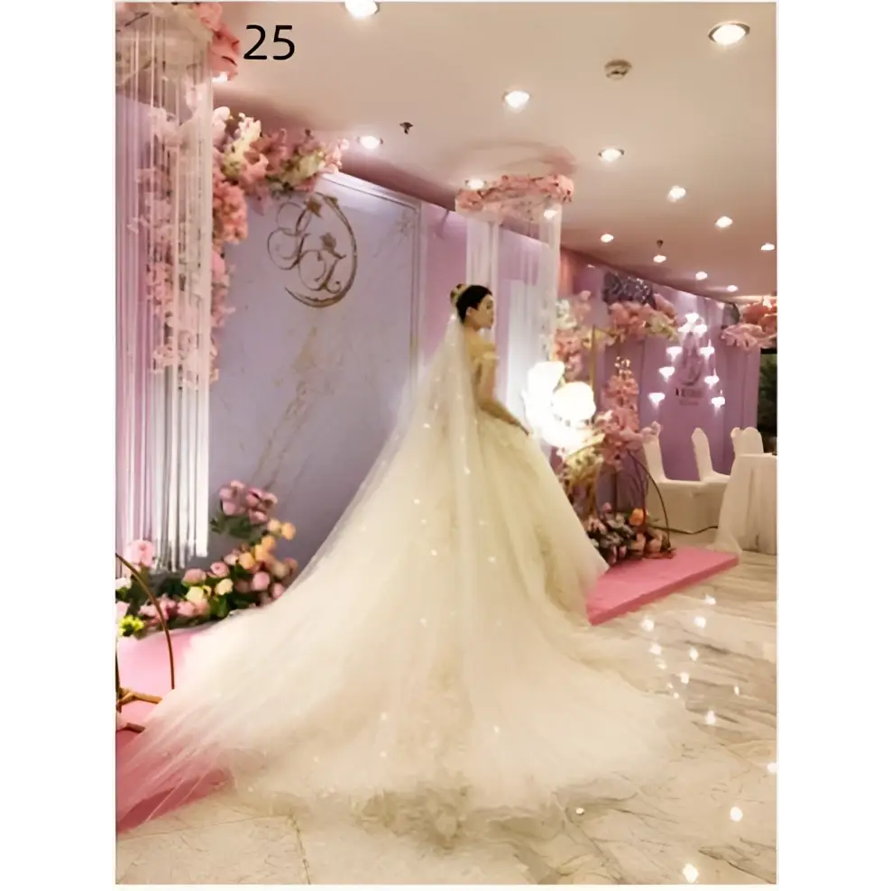 Ivory bridal wedding dress with a flowing sheer train and intricate floral lace wedding dress veil detailing