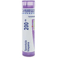 Purple-tinted cylindrical tube of boiron tarentula hispana 200ck homeopathic remedy for natural health use