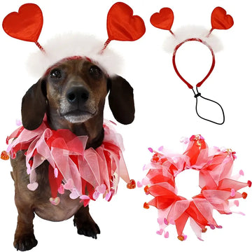 A dachshund wearing a valentine’s day pet scarf in red and pink sheer organza with heart embellishments for dog party decorations
