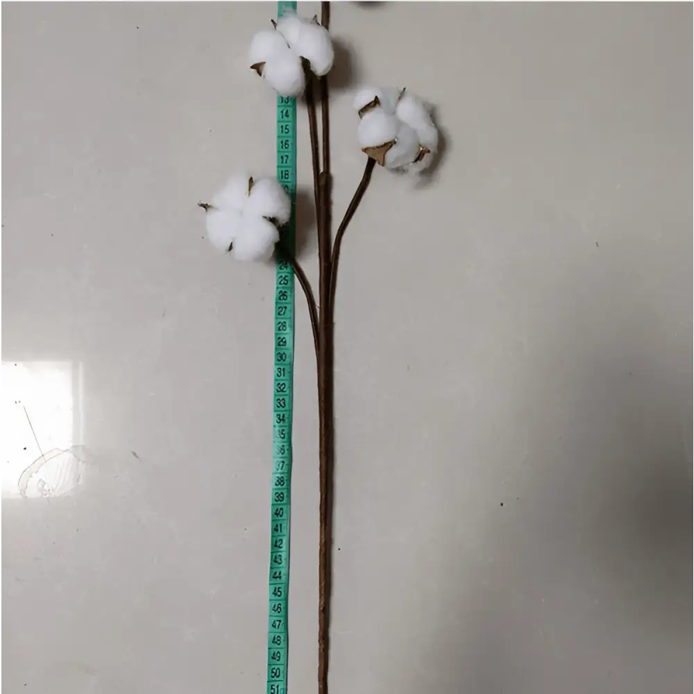 White artificial cotton stem with fluffy bolls and brown stems measured against a green tape measure