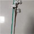 White artificial cotton stem with fluffy bolls and brown cotton flower branches displayed with a green measuring tape