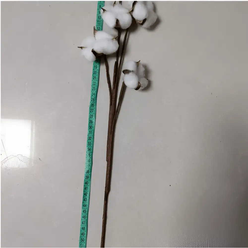 White artificial cotton stem with fluffy bolls and brown cotton flower branches displayed with a green measuring tape