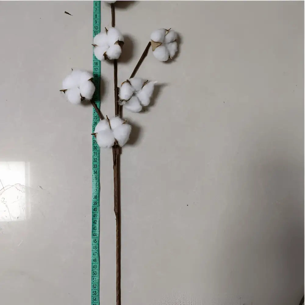 White artificial cotton stem with fluffy bolls and brown stems displayed with a green measuring tape showing length
