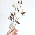 A delicate artificial cotton stem with fluffy white bolls and dark brown cotton flower branches held in hand