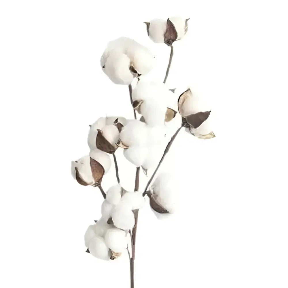 White artificial cotton stem featuring fluffy bolls with soft white fibers and brown cotton flower branches