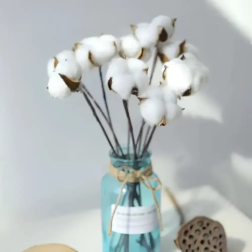 A delicate bouquet of white artificial cotton stems with fluffy bolls arranged in a blue glass jar with twine