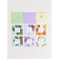 Set of six natural body scrub sachets in pastel green lavender and cream with botanical prints and natural ingredients