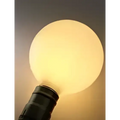 A warm glowing edison glass bulb with matte finish and black base in wood pendant lights for living room lighting
