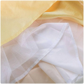 Delicate white tulle overlay with fine mesh layered over yellow and peach sheer fabric for victorian palace dress stage performance